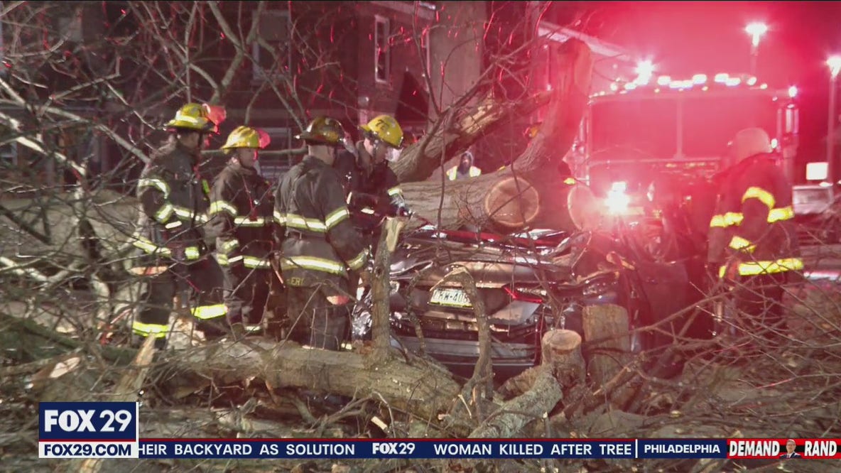 Woman killed after tree falls onto vehicle